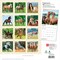 BrownTrout; Chevaux | 2027 12 x 24 Inch (Hanging) Monthly Square Wall Calendar | French Language; Category:Wall Calendars; Image:3